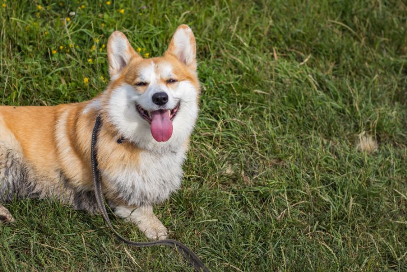 untitled design 2026 01 30t162934.203