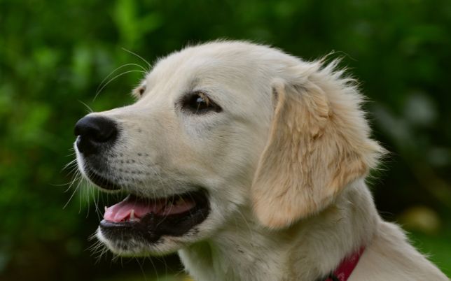 untitled design 2026 01 30t164204.679