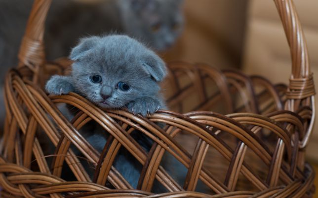 untitled design 2026 01 30t164249.995