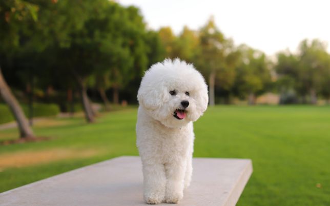 untitled design 2026 01 30t164317.842