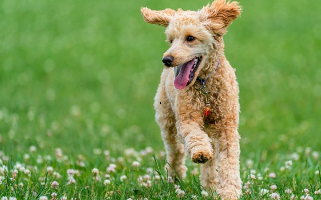 untitled design (98)